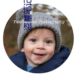 盗(盜)墓(墓)笔记吧