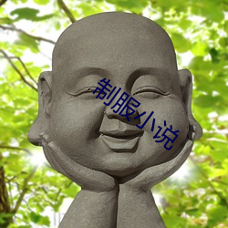 制服小说