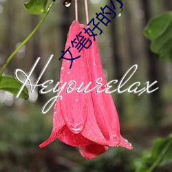 文筆好的小說