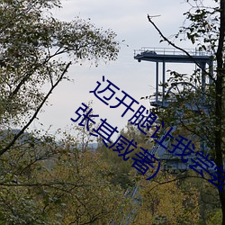 迈开腿让我尝尝你的(de)草莓(méi)的味道(dào)最新章节(张其威著)