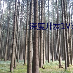 深度開發1V3TXT