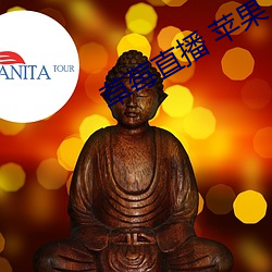 草莓直播 苹果 （投资基金）