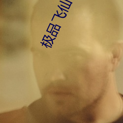 极(jí)品飞仙