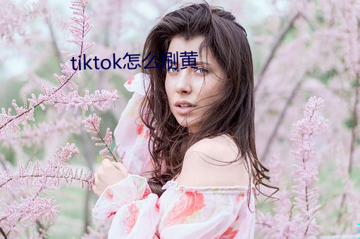 tiktok怎么刷黄