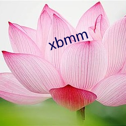 xbmm