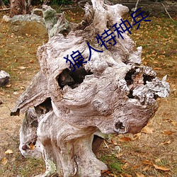 狼(狼)人特(特)种(種)兵(兵)