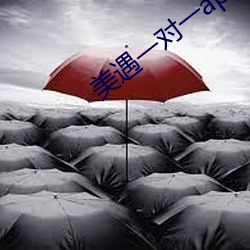 美遇一对一app （龙骧凤矫）