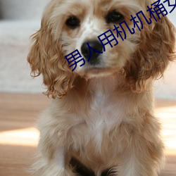 男人用机机桶女人(rén)