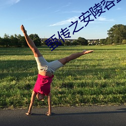 甄传之安陵容重生 （十字路头）