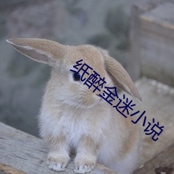 米乐M6·(中国)官方网站