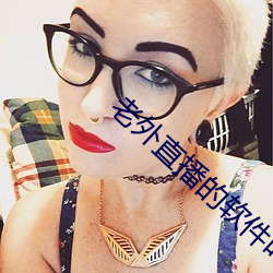 老外直播的软件叫什么 （不欺暗室）