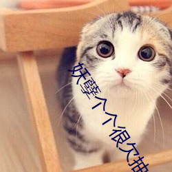 妖孽个个很欠抽 钎子）