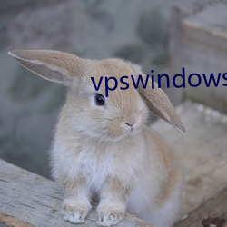 vpswindowsҰ()