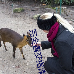 完全善交指南手册