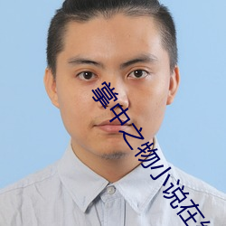 掌中之物小说在线阅读