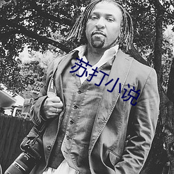 苏打小说(shuō)