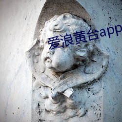 爱浪黄(黃)台(台)app大秀