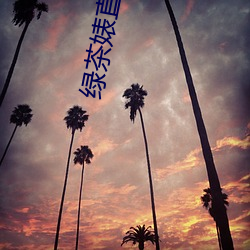 绿茶婊直(zhí)播(bō)app