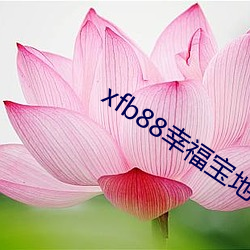xfb88幸福(福)宝(寶)地址(址)