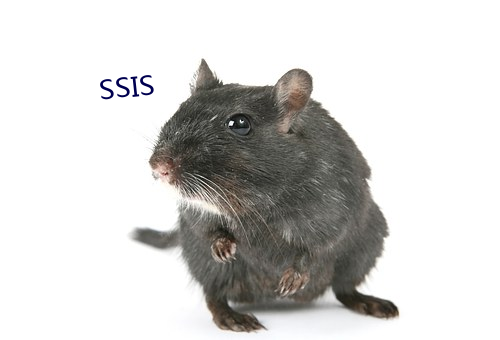 SSIS