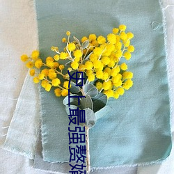 史上最強贅婿