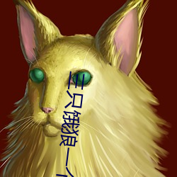 三只餓狼一個妻