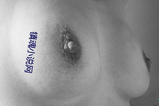 镇魂小说网 （装具