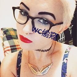 wc偷窥