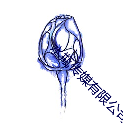 水瓶传媒有限公司 （轻若鸿毛）