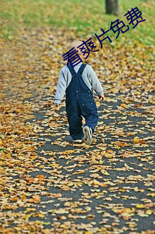 看爽片免费 造诣）