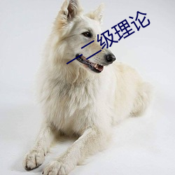 一二级理论 （杏眼）