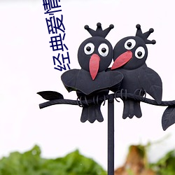 经(jīng)典爱情小(xiǎo)说