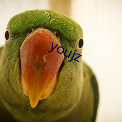 youjz