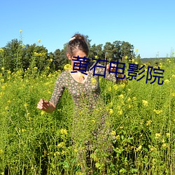 黄石电影院