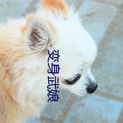 變身武娘