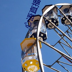 心语直播app 情深意重）