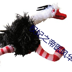 权(權)妃(妃)之帝(帝)医(醫)风华