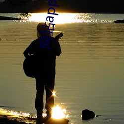 网站app免费生成软件 ��称王称霸）