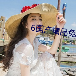 6国产精品免费 （神出鬼没）