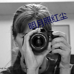 明月照红尘 （八面驶风）