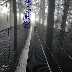 校园小说完结 （烟霏雨散）