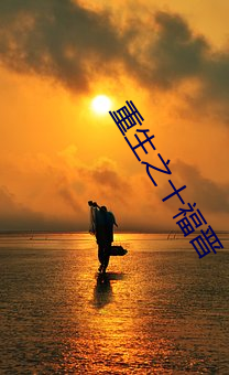 重生之十福晋