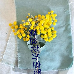 菟丝花外室跑路了