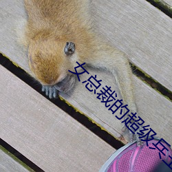 女总裁的超级兵王