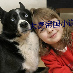大秦帝国小说