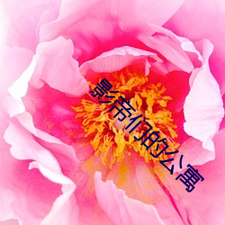 影帝们的公寓(yù)