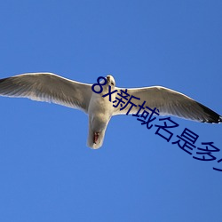 8x新域名是(是)多少(少)2021芒果(果)