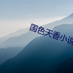 国(國)色天香小(小)说