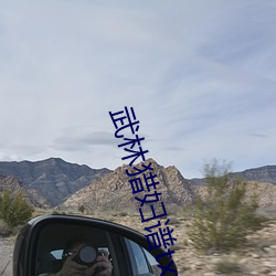 武(wǔ)林猎妇谱txt下载