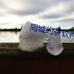 同城约茶软件